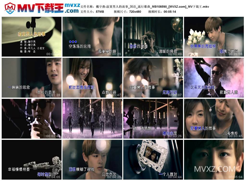魏守燕-寂寞男人的故事_国语_流行歌曲_MB108590